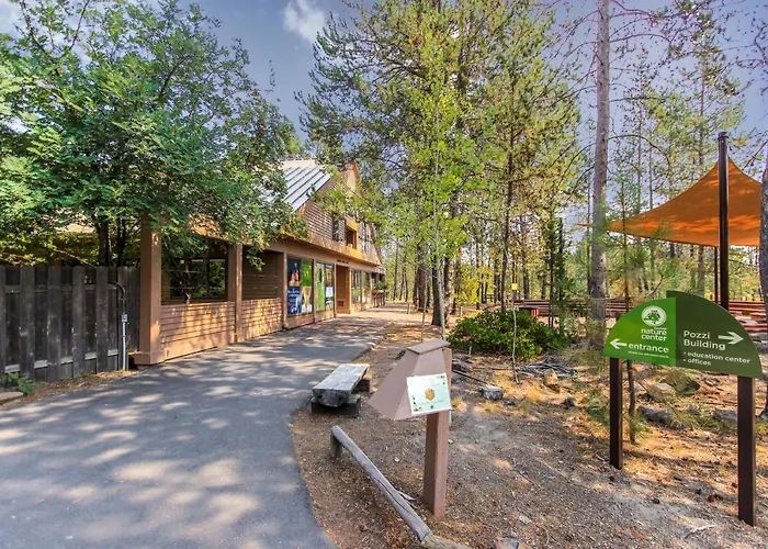 Forest Hideaway